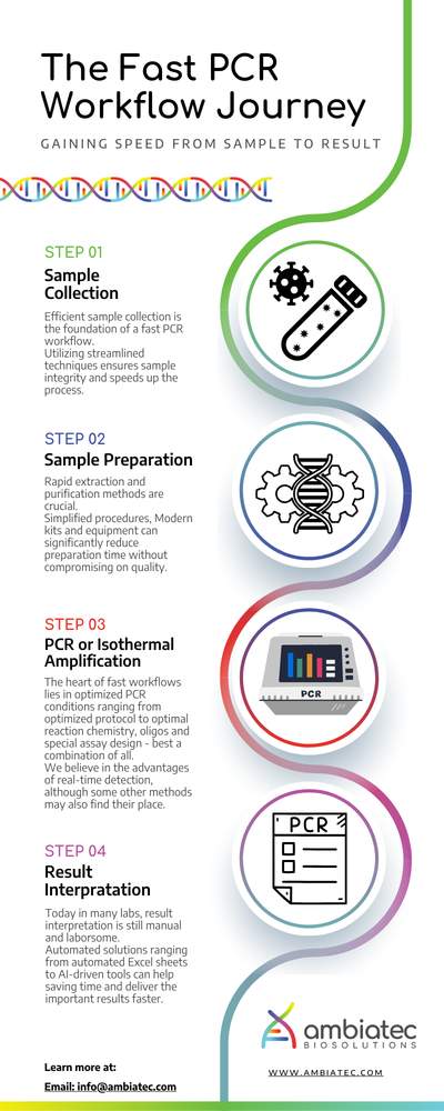 Infographic: the fast PCR workflow from sample collection to result interpretation